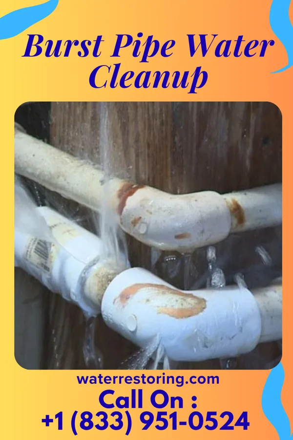 Burst Pipe Water Cleanup in George Mason, VA