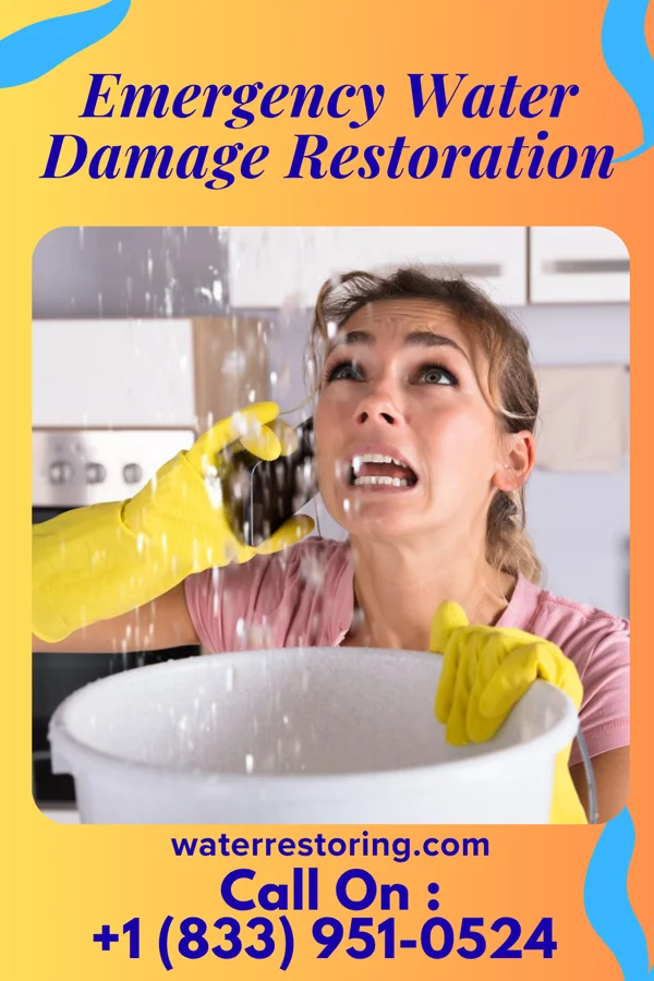 Emergency Water Damage Restoration in George Mason, VA
