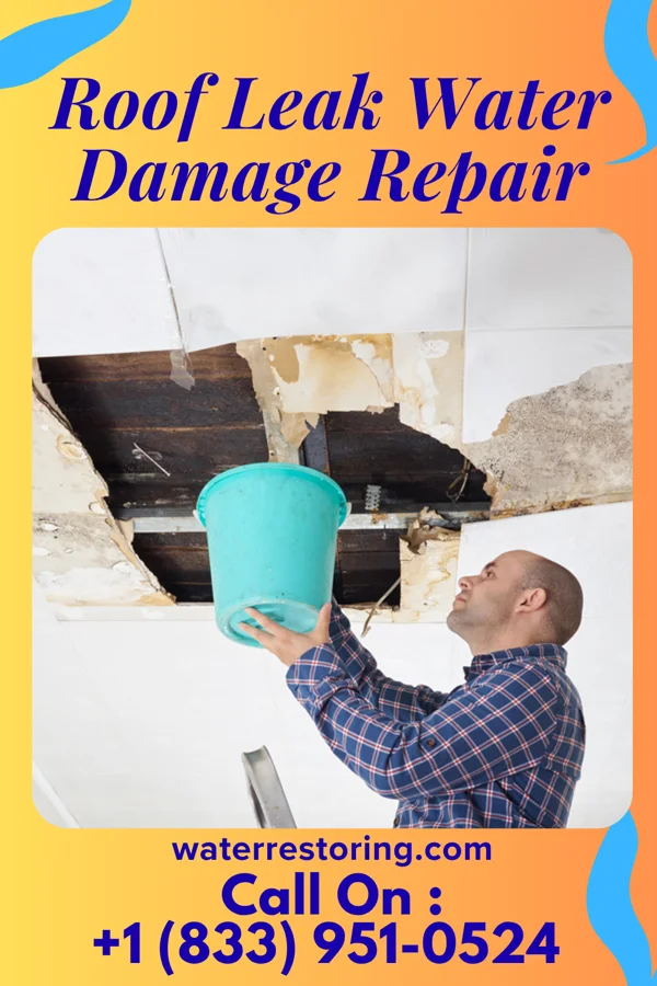 Roof Leak Water Damage Repair in George Mason, VA