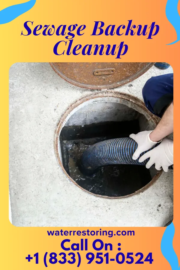 Sewage Backup Cleanup in George Mason, VA