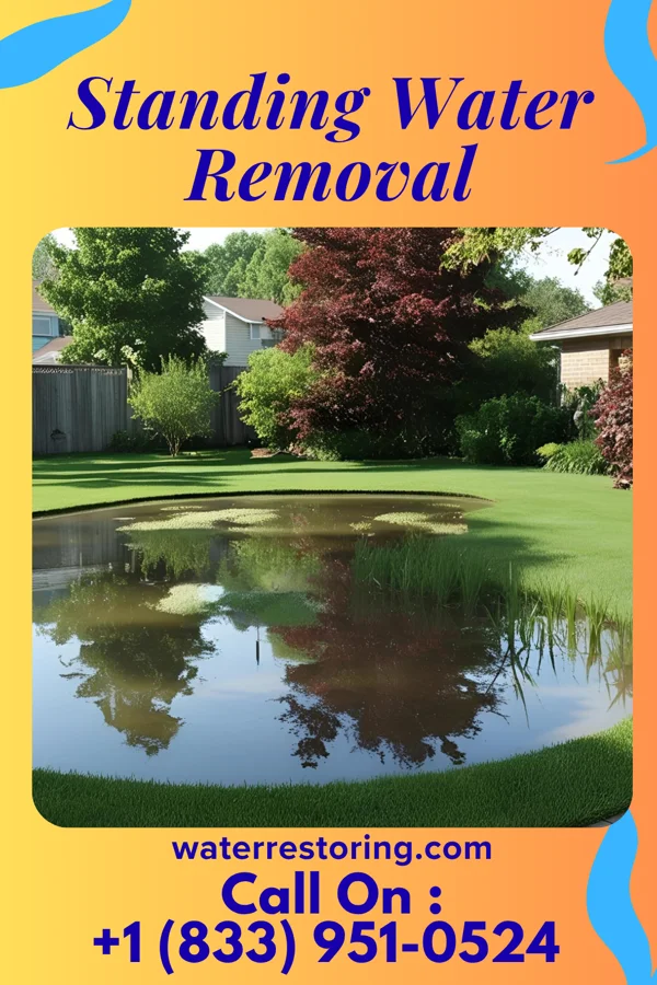 Standing Water Removal in George Mason, VA